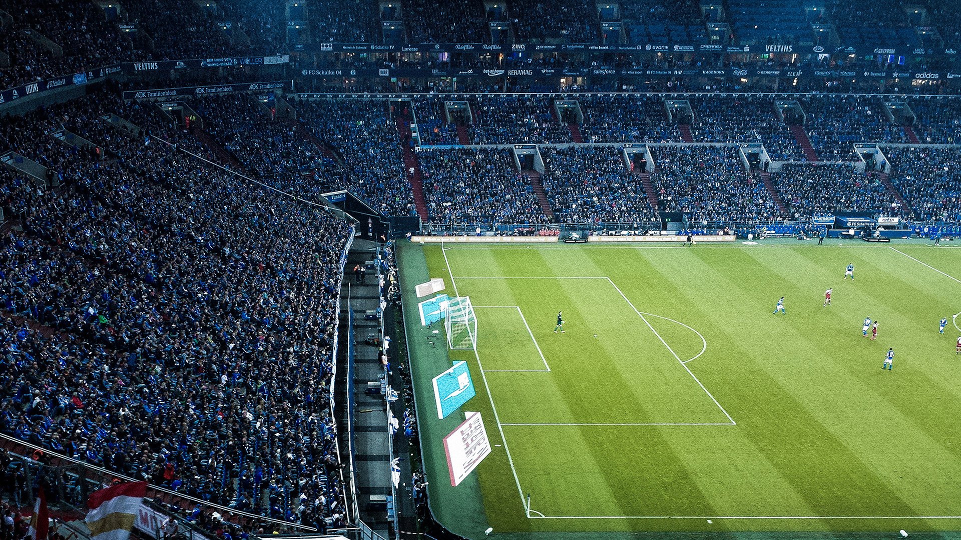 南非女子仰泳新星闪耀赛场，老婆右眼一直跳